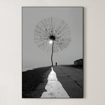 Coastal Surrealism Dandelion 480